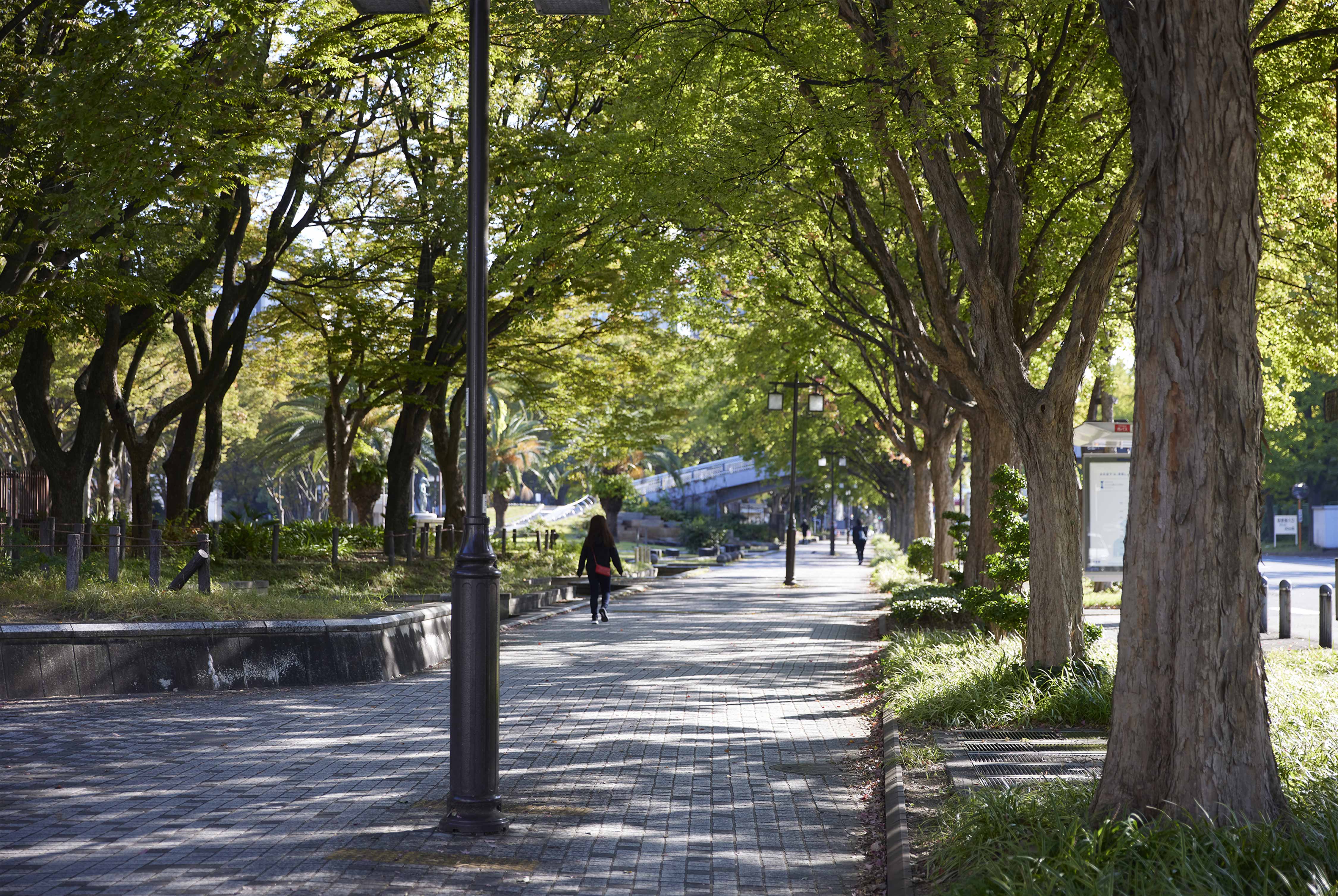 マンション東側 白川公園